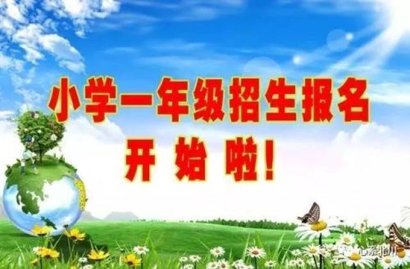 您是否在为孩子的入学问题而烦恼？本文将带您了解淄博金茵小学的公立小学招生条件，帮助您的孩子顺利进入理想的学校。
